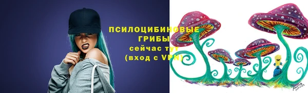 шишки Зеленодольск