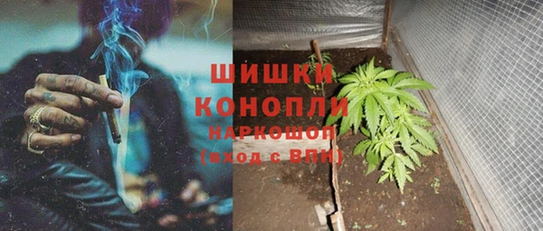 ПСИЛОЦИБИНОВЫЕ ГРИБЫ Снежногорск