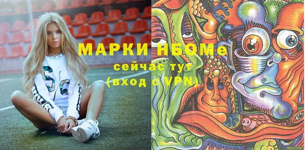 МДПВ Снежинск