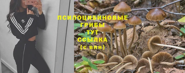 mix Иннополис
