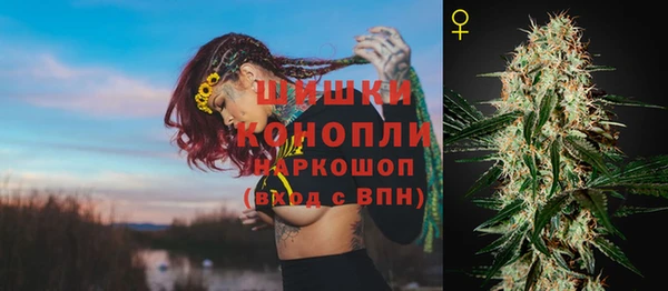 ПСИЛОЦИБИНОВЫЕ ГРИБЫ Снежногорск